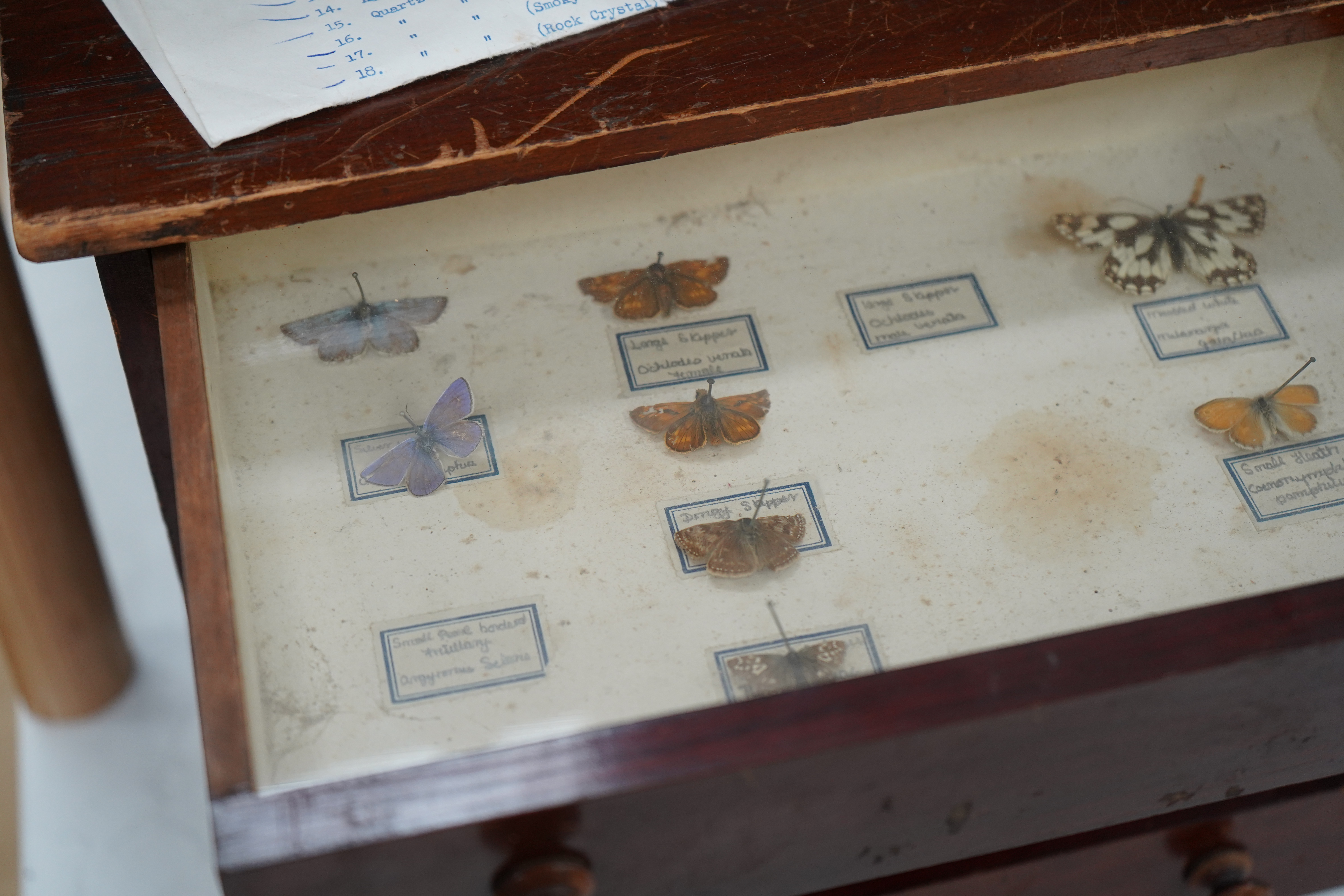 An early 20th century collector’s chest fitted with five drawers filled with mineral specimens and butterflies to include Haematite, Scorodite and Pyrite, 30cm high. Condition - fair